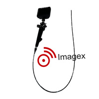 Hystéroscope vidéo portable avec écran de 5 pouces pour usage vétérinaire et gynécologique