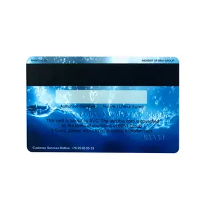 Carte de visite en plastique imprimée sur mesure en gros Carte cadeau PVC à bande magnétique Carte Visa avec numéro en relief