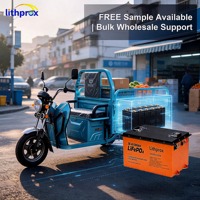 Neue LiFePO4-Technologie 38,4V 300AH Mobilitätsfahrzeugbatterie Vibrationsfest Stabile Leistung für Mobilitätsroller CE RoHS FCC