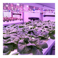 Système d'éclairage LED à spectre complet pour l'agriculture hydroponique en conteneurs, pour la culture de légumes, à vendre