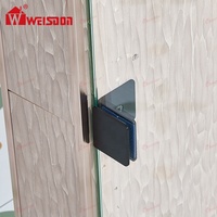 Porte de douche en verre fixe sans cadre Weisdon de haute qualité en acier inoxydable 304