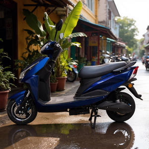 Scooter Eléctrico CKD EEC de 10/12 Pulgadas, 600/800W, Velocidad 50km/h, Fabricante de Motocicletas Eléctricas en <span class=keywords><strong>Venta</strong></span> - Product Image 1