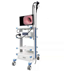 수의학 비디오 내시경 위내시경 대장내시경 동물용 개 고양이 유연한 위내시경 생검 채널 포함 - Product Image 1