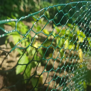 Hexagonal Chicken <b>Wire</b> <b>Mesh</b> Roll Low Carbon <b>Wire</b> for Animal Cage Fence - Product Image 3