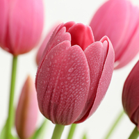 Pasokan Pabrik Buket Bunga Tulip PU Artificial Real Touch untuk Dekorasi Meja Pernikahan dan Rumah, Pesanan Grosir