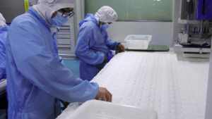 Disque de tonification semi-gel à texture unie en fibres végétales de camélia biodégradables, rafraîchissant et nettoyant doux et transparent - Product Image 6