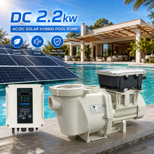 Bomba de Piscina Híbrida Solar AC/DC para Agua de Mar, Estándar, Fabricada en China - Product Image 1