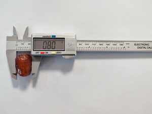 อบแห้งนุ่มแห้งวันที่หวานเก็บรักษาผลไม้ - Product Image 5