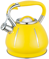 Bouilloire sifflante en acier inoxydable de 2,5 L, théière de camping avec fond à induction pour usage domestique