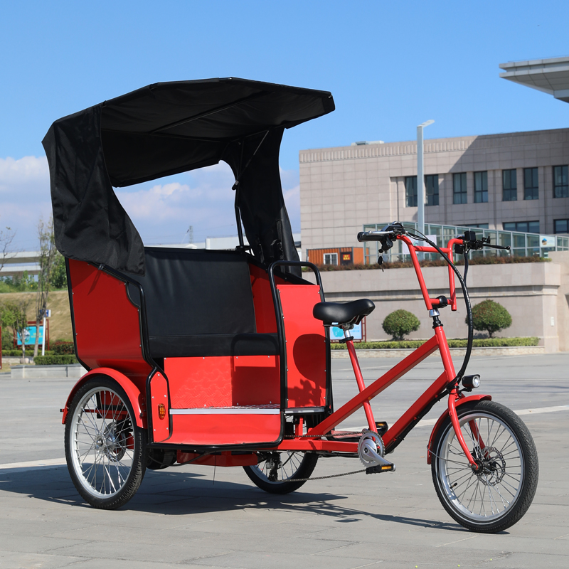 Elektrische Hecklader-Rikscha mit Pedal assistent Auto-Rikscha aus China