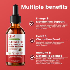 OEM Metilatlanmış B Kompleksi Sıvı Damlaları <span class=keywords><strong>B12</strong></span> Metilkobalamin Folat Vitamin B Kompleksi Sıvı Damlaları B3, B6, Pancar, Alıç ile - Product Image 6