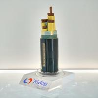 Kabel Multi-Core Tianyuan ZR-RVV 750V Panjang Sesuai Pesanan, Tahan Api, Fleksibel, Kawat Tembaga Terpilin, Selubung PVC, untuk Bangunan Industri