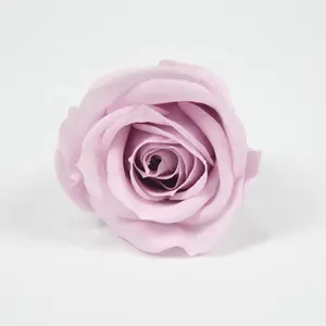 Offre Spéciale rose couleur rose conservée pour boîte cadeau rose