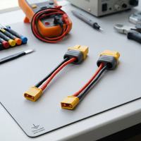 Câble de batterie haute intensité personnalisé XT60 femelle-femelle avec faisceau de câbles en silicone pour modèles RC et équipements de stockage d'énergie