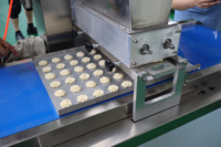 Petite machine de fabrication de biscuits rotative multi-gouttes Palmier Butter Mini machine manuelle de dépôt de biscuits