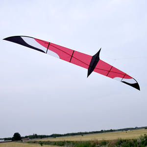 Nuevo cuchillo personalizado <span class=keywords><strong>de</strong></span> 6 metros, <span class=keywords><strong>cometa</strong></span> <span class=keywords><strong>de</strong></span> pájaro P31, tela Breeze, <span class=keywords><strong>vuelo</strong></span> al aire libre para adultos, se entrega directamente desde <span class=keywords><strong>la</strong></span> fábrica china - Product Image 4