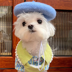 Boina de invierno multicolor para mascotas, divertida y versátil, sombrero de pintor para gatos, 100% lana, venta al por mayor de fábrica - Product Image 1