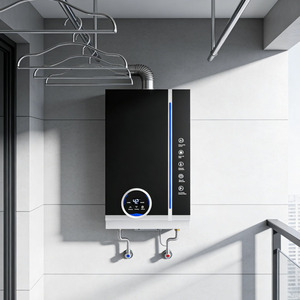 Chauffe-eau sans réservoir en acier inoxydable à gaz naturel à bas <span class=keywords><strong>prix</strong></span>, alimentation en eau chaude à température constante pour toute la <span class=keywords><strong>maison</strong></span> - Product Image 2