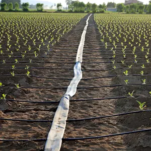 Plentirain 16mm Drip Irrigation Tape Drip Line Irrigation System