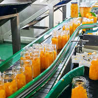 ENAK Tropisch Vers Fruit Geblikte Mandarijn Perzik Gele Perzik Machinebewerking Productielijn