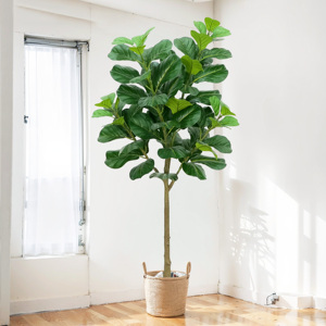 6FT nhân tạo mô phỏng lớn fiddle lá vả cây ficus pandurata nhà máy Bonsai Trong PE cho trong nhà văn phòng nhà Mall trang trí nội thất - Product Image 3