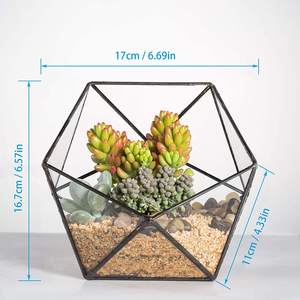 Mezza palla pentagono fioriera balcone interno finestra pianta succulenta cactus felce vaso di fiori forma ciotola terrario di vetro geometrico - Product Image 4