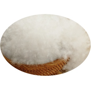 Plumón <span class=keywords><strong>de</strong></span> ganso blanco RDS para hombre, mujer y niño, chaqueta y abrigo fino <span class=keywords><strong>de</strong></span> alta calidad - Product Image 6