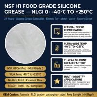 Gemuk Silikon Kelas Makanan NSF H1 NLGI 0 untuk Motor Mainan Elektrik, Kursi Pijat, Katup Keramik, Pompa Air, REACH, RoHS, OEM, Kustom