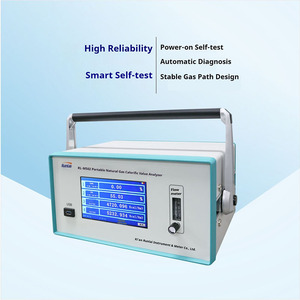 Runlai M502 Portable High Accuracy Metal Multi Calorific Value Gas Analyzer CO2 CH4 DP CnHm Tester Detector - Product Image 5