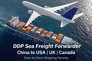 Spedizioniere Marittimo DDP dalla Cina agli USA Servizio di Spedizione Porta a Porta LCL - Product Image 2