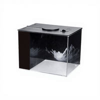 Mini aquarium de bureau à eau douce avec lumière LED multicolore changeante pour la décoration de la maison et du bureau