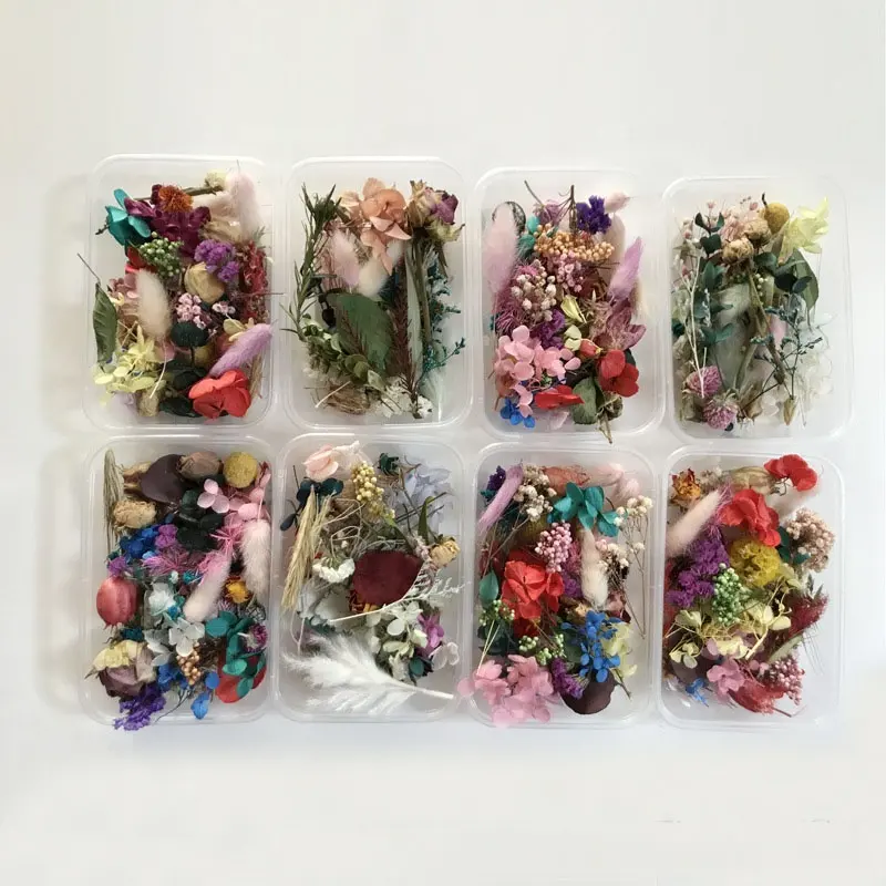 C251 Groothandel Mix Kleur Diy Craft Mini Bloemblaadjes Hars Sieraden Mallen Natuurlijke Gedroogde Bloemen Voor Aromatherapie Kaars