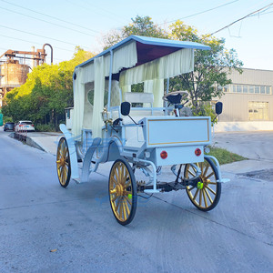 Nouvelle Conception Simple et Élégante, Voiture Électrique de Type Carrosse, Populaire, 4 Roues, Blanche, Royale, pour Visites Touristiques, Chariot à Chevaux Victoria, Véhicule à Vendre - Product Image 4