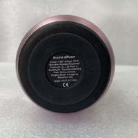 Nouveauté : Nébuliseur d'huiles essentielles portable sans eau, rechargeable, en métal, diffuseur d'arômes pour usage domestique, capacité de 20 ml, garantie 1 an