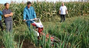 Machine de sol agricole multifonctionnelle de <span class=keywords><strong>haute</strong></span> qualité 30CM profondeur de tranchée oignon planteur engrais épandeur - Product Image 6