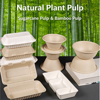 Boîte alimentaire longue jetable en bagasse avec couvercle, compatible micro-ondes, pour hot-dogs, croissants et repas de camping