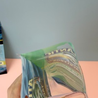 Sac d'emballage personnalisé transparent pour leurres souples de pêche, appâts en plastique, hameçons, sac d'emballage pour leurres de pêche en PET/PE, design personnalisé