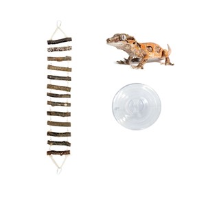 Chaise longue en bois pour reptiles, échelle, jouet d'escalade pour geckos léopards et <span class=keywords><strong>dragons</strong></span> barbus, décoration de terrarium pour animaux exotiques - Product Image 4