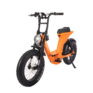20 pulgadas 48V eléctrico Mid Drive Fat Tire E Bike Sport Mountain Bike All Terrain Beach Ebike - Product Image 3