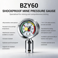 Manomètre antichoc BZY60 à double aiguille avec échelle personnalisable pour test de pression des conduites de mine de charbon