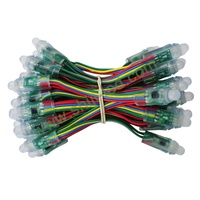 Lampu LED Pixel Warna-Warni SHIJI Outdoor Addressable 12mm 5v/12V untuk Natal, Sumber Cahaya Titik LED