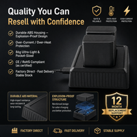 Chargeur double batterie NP-SA100 PD 50W à charge rapide avec affichage LED Type-C pour appareil photo Sony A7R VI A7R6 ILCE-A7RM6 Vente en gros OEM