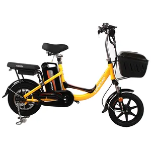 뜨거운 판매 전기 자전거 중국 제품 새로운 모델 고품질 14 "리튬 48V12/15AH 250W 도시 전자 자전거 성인