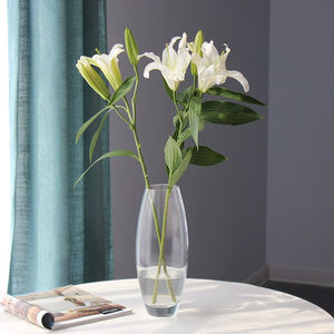 Commercio all'ingrosso prodotti di vendita calda il vaso di vetro <span class=keywords><strong>ovale</strong></span> vaso di fiori decorativo vaso di vetro - Product Image 6