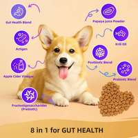 Friandises à Mâcher Probiotiques Marque Blanche, Probiotiques Naturels de Qualité Alimentaire pour Chiens, Complément pour la Santé Intestinale, OEM ODM
