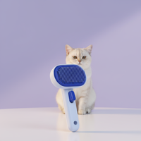 New Arrive Double Side Pet Brush Comb Cute Cat One Click Hair Removing Long Cepillo Para Gato Perro Mascota Accesorios Por Mayor