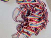 Lanière personnalisée double face en polyester écologique à bas prix avec crochet métallique pour porte-badge LGBTQIA+ (gay, lesbienne, pansexuelle)