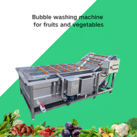 Machines de nettoyage, de séchage et de transformation des fruits et légumes frais industriels CE, machine à laver les dattes sèches à vendre, respectueuse de l'environnement