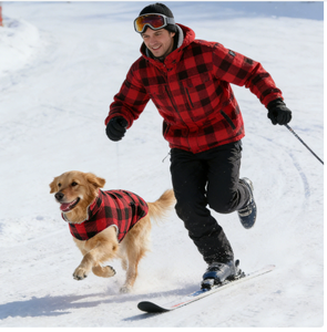 Ropa para mascotas, ropa a cuadros para perros, ropa para perros pequeños, medianos y grandes, ropa de otoño e invierno, cálida y gruesa - Product Image 1