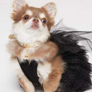 Vestido para Perro, Ropa de Fiesta para Mascotas, Diseño Personalizado, Vestido de Tul de Algodón, Lazo de Encaje Desmontable, Ropa Cómoda y Transpirable - Product Image 4